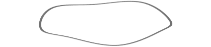 dng component 05